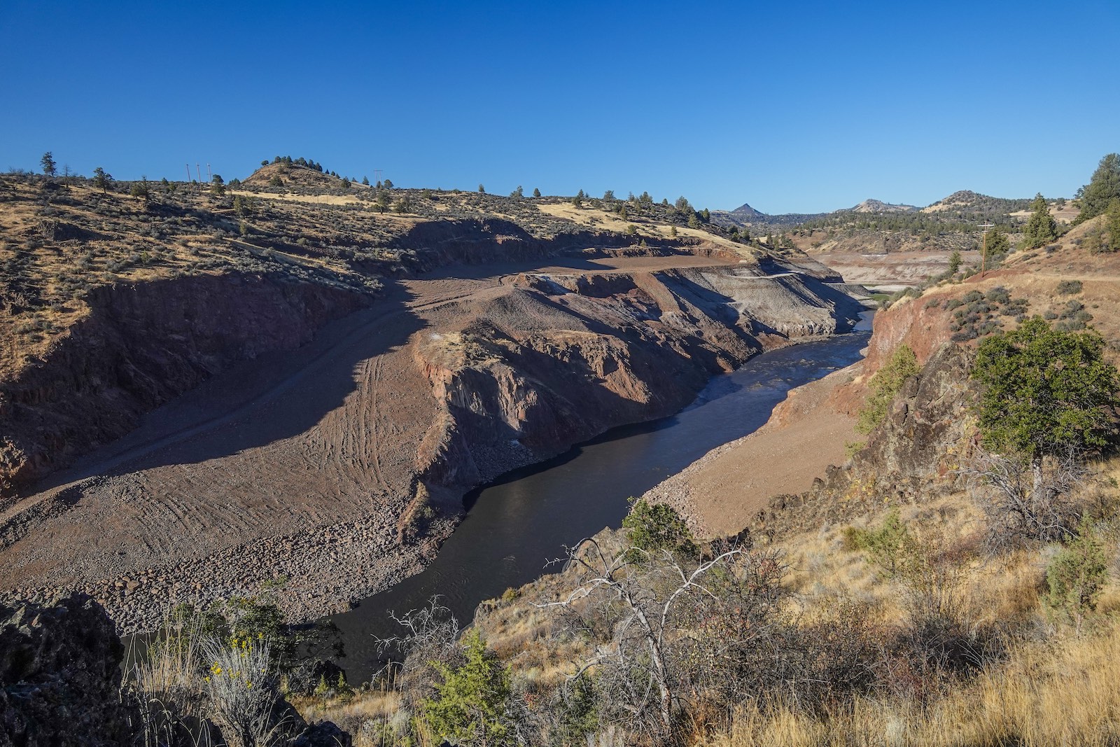 Where Iron Gate Dam once stood, a Chinook Salmon is witnessed by sonar swimming upstream on Thursday, October 3, 2024. (Credit: Swiftwater Films)