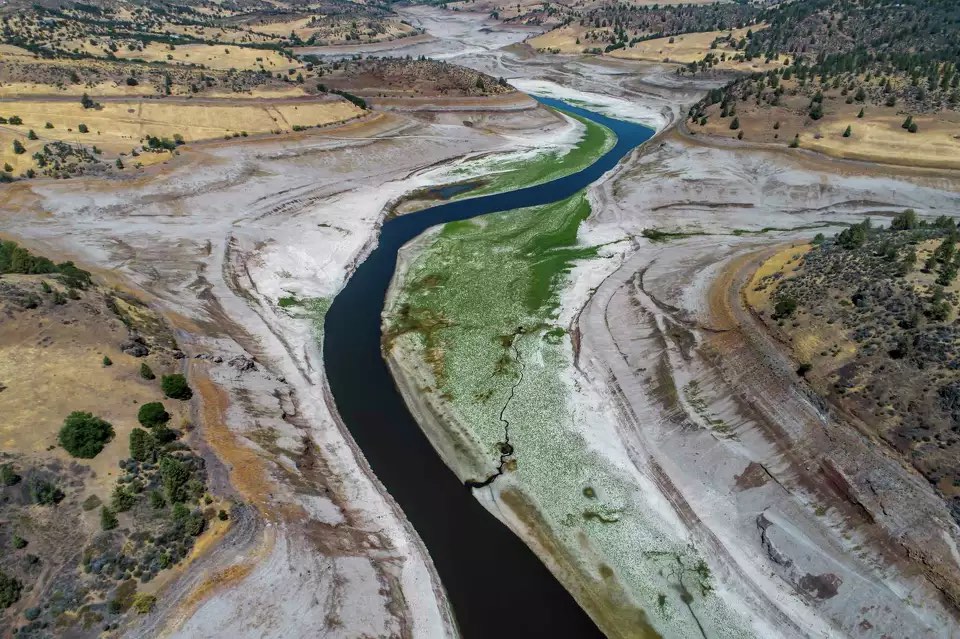 Where Iron Gate Dam once stood, a Chinook Salmon is witnessed by sonar swimming upstream on Thursday, October 3, 2024. (Credit: Avila Gonzalez / San Francisco Chronicle)